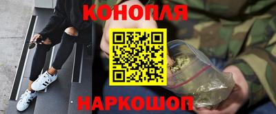 спиды Камышлов