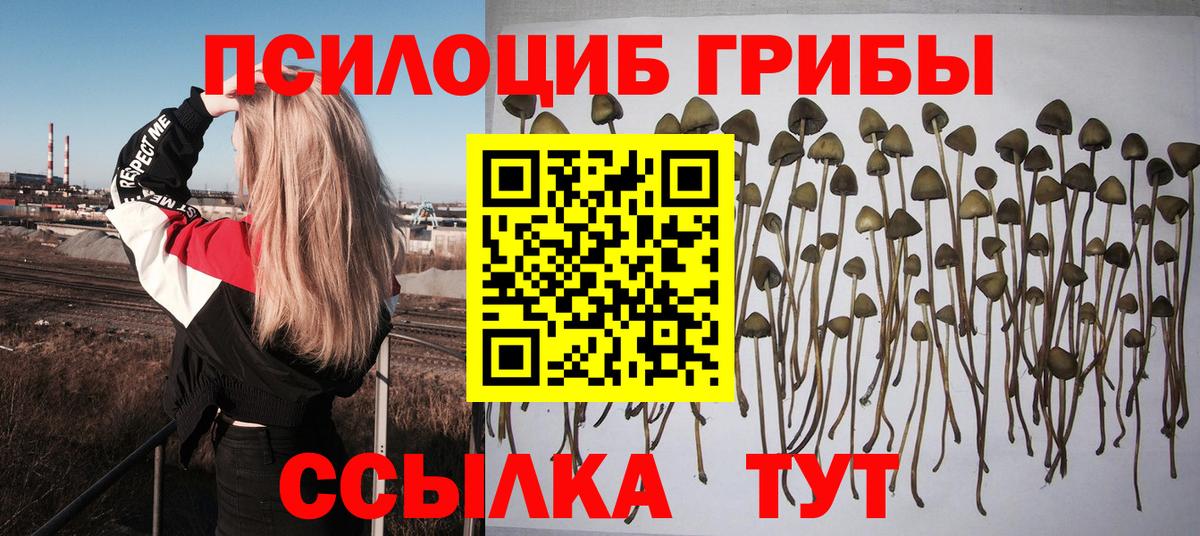 Галлюциногенные грибы Magic Shrooms Осинники