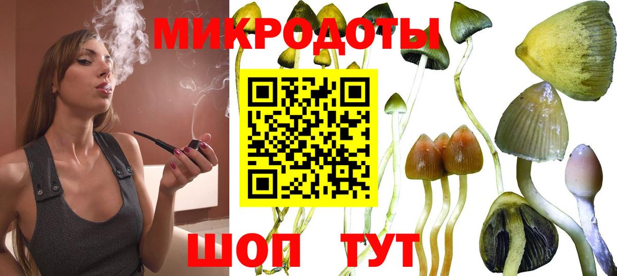 Псилоцибиновые грибы MAGIC MUSHROOMS  Вход с VPN  Осинники 